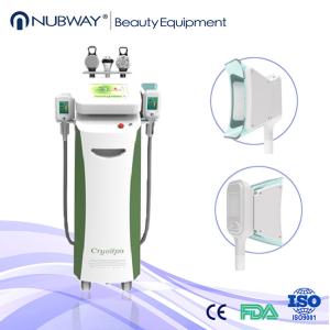 Wholesale High Quality Fat Freezing Machine / Cryolipolysis Slimming Machine from china suppliers