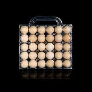 Transparent Plastic Egg Trays Egg Box Free Shipping Plastic Egg Tray with Handle