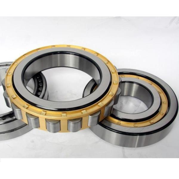 Automotive Cylindrical Roller Bearing
