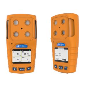CO / EX Portable Multi Gas Detector 0 - 1000PPM Detecting Range Sensor Alarm