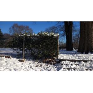 chain link wire mesh fence 50mm x 50mm hot dipped galvanized chain wire tension