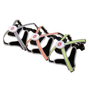 Eco Friendly Flashing LED Dog Harness , Highly Reflective Dog Harness With LED