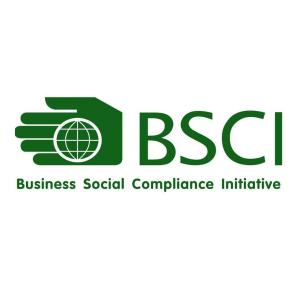 BSCI certification fee, BSCI certification process and cycle