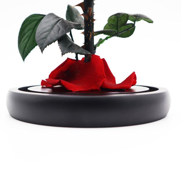 Long Lasting red Preserved Rose Glass Dome in Valentine's Day