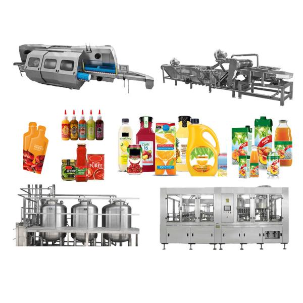 Pineapple Processing Line Multifunctional Pineapple Juice Concentrated Juice