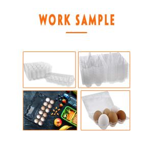 Trifold Shape Egg Box Making Machine Plastic Thermoforming Equipment