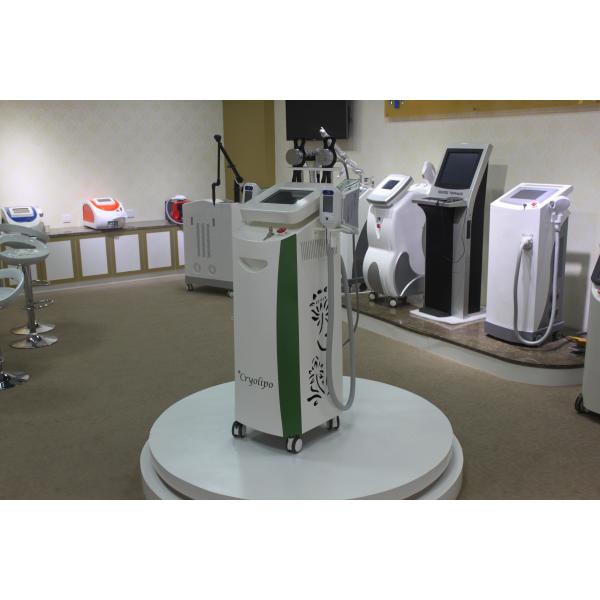High quality 5 handles white-blue 10.4 inch cryolipolysis RF 40K cavitation