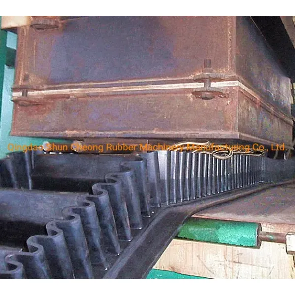 Conveyor Belt Curing Press with Frame Structure for Rubber Vulcanizing