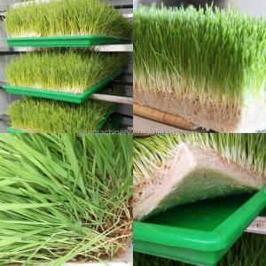 Revolutionize Your Aquaponics Microgreens Harvesting with Mini Harvester in 2024