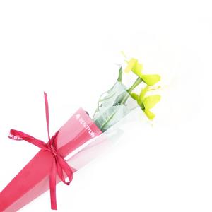 Valentine's Day Cone Single Long Stem Roses Packaging Box with UV Coating and