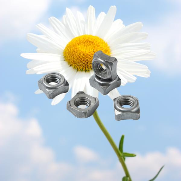 Metric Measurement System Carbon Steel Projection Weld Spot Nut Hexagon Weld Nuts with Galvanized Finish and Stainless Steel