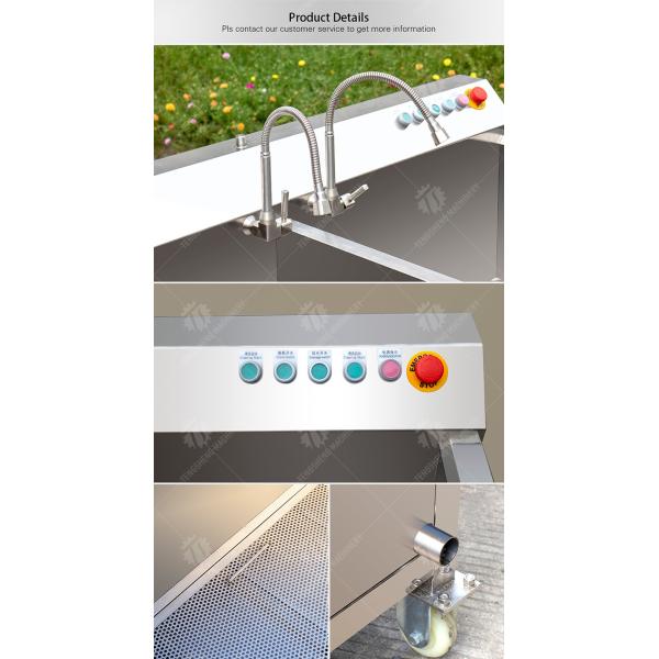 Fruit Orange Leaves Vegetables sward beans Herbs Fruiting vegetables Wash Washer Washing Cleaning processing production Double cylinder fruit and
