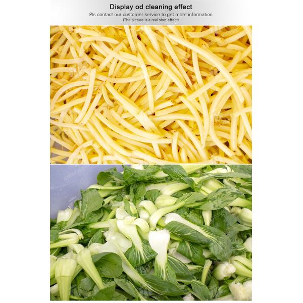 Vegetable Leaves Vegetables Leafy vegetables Cabbage varieties Herbs Fruiting vegetables Vortex washer Cleaning processing production Machine