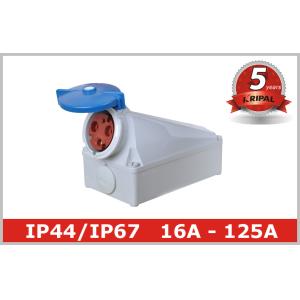 16A 32A 63A 125 Amp Wall mounted Industrial Socket Outlets Appliance Inlet