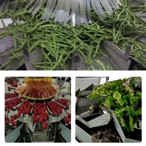 High-Speed Automatic Pouch Packaging Machine with 14 Head Multihead Weigher for