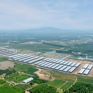 Modern Light Steel Frame Cattle Shed with Galvanized Steel Structure
