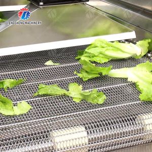 4.5KW Fruit And Vegetable Processing Line Vibration Draining Equipment