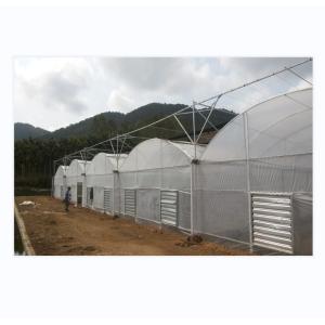 China 150/200 Micro Covering PE Multi Span Film Greenhouse For Tomato Farming In Agriculture on sale
