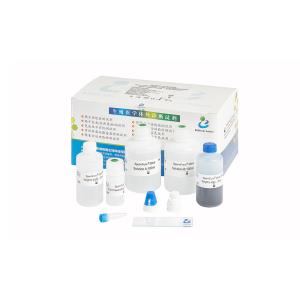 China 40T/Kit Sperm DNA Fragmentation Kit on sale