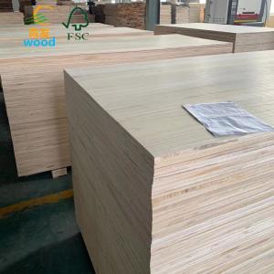 Unfinished Paulownia Tomentosa Wood Board with Smooth Surface and Moisture