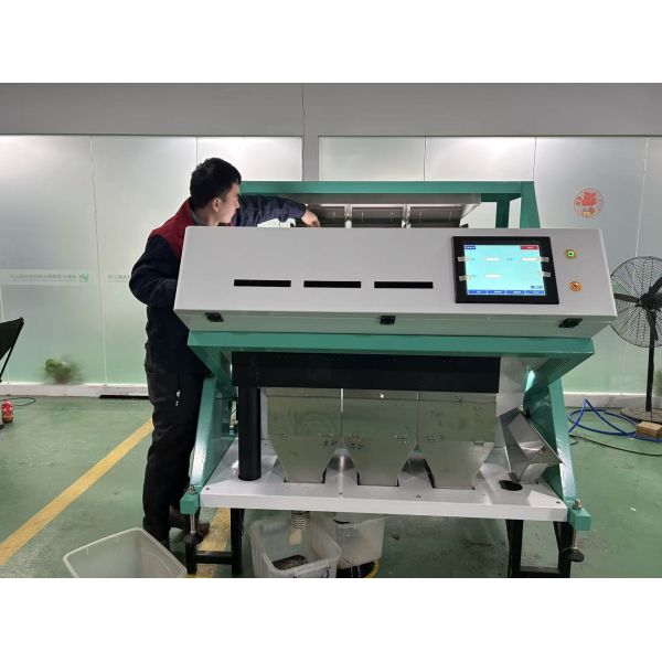 Quality Wenyao High Capacity Maize Wheat Horse Bean Broad Bean Color Picker Colour Sorter Machine for sale