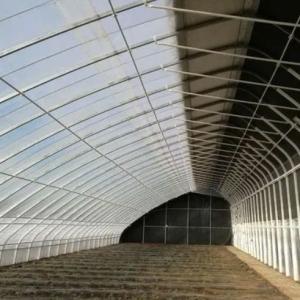 Tomato Farming Sunlight Greenhouse with Humidity Control and Temperature Control