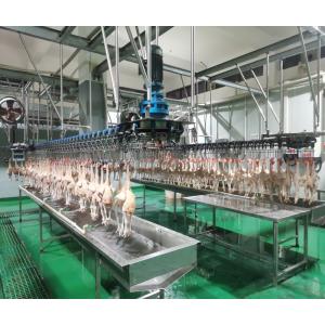 Wholesale 300 Chickens / H Poultry Farming Equipment Scalding Plucking Slaughtering Machine from china suppliers