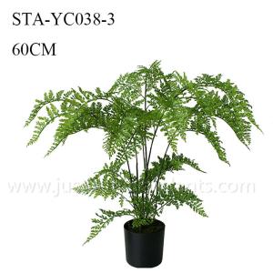 Greenery Artificial Fern Tree Unprecedented Authenticity Black Potted Plant