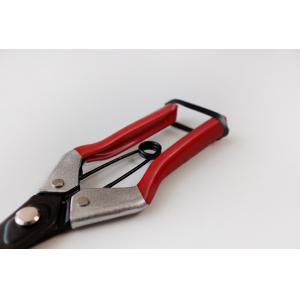 SINSEUNG X1 Hardware Scissors Onion Scissors Spring And Ambidextrous Structure