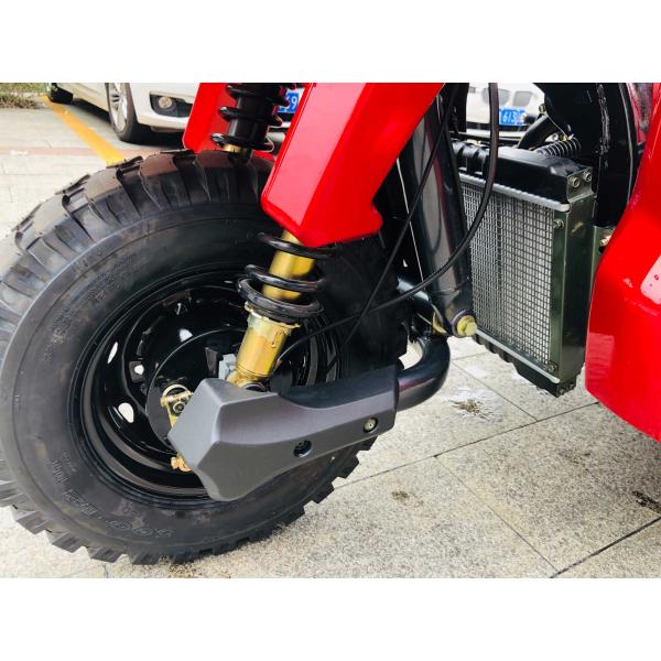 800W DAYANG DY-R1 RUITENG 250cc Cargo Tricycle for Heavy Duty CCC Three Wheels Motorcycle