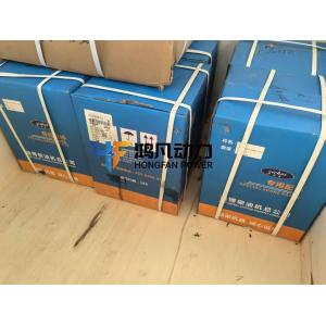 zichai 8300 gas generator spark plug S-R807BEX21-2 original parts fatcory