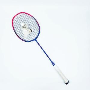 Wholesale Shuttlecocks Birdies Professional Dmantis D7 Full Carbon Graphite Badminton Racket from china suppliers