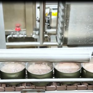 Efficient Automated Canned Food Production Line for High-Quality Output