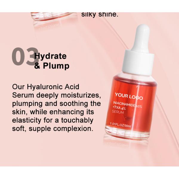 Private Label Niacinamide 10 and Txa 4 Serum Dark Spot Aha Organic Moisturizing Rejuvenating Niacinamide Face Care Serum