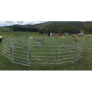 Wholesale 22Panel Cattle Corral Panels Inc Gate, Round Yard, Cattle Fences 15m Diameter from china suppliers