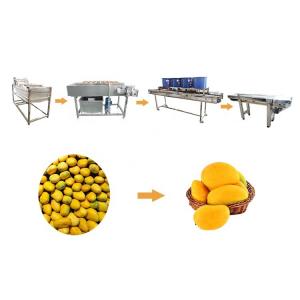 Wholesale Hot selling Cherry Processing Equipment Fruits Washing Line by Huafood from china suppliers