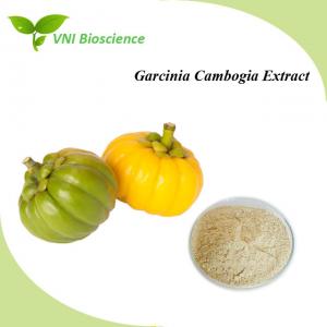 Wholesale Natural Organic Garcinia Cambogia Extract Powder For Dilating Blood Vessels from china suppliers