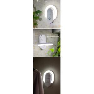 Anion purification night lamp