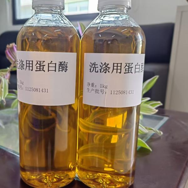 Quality 200 Enzyme Activity Protein Enzyme for and Extended Shelf Life in Microbe Fermentation for sale