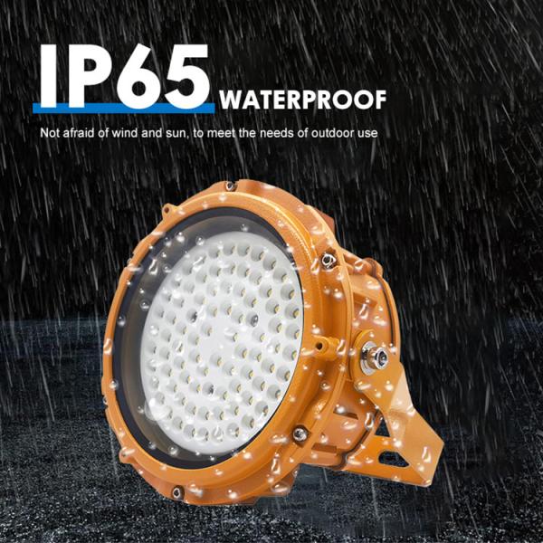 Waterproof IP65 Industrial Explosion Proof Lighting Fixtures Flood Light AC85-265V/ 50Hz 60Hz