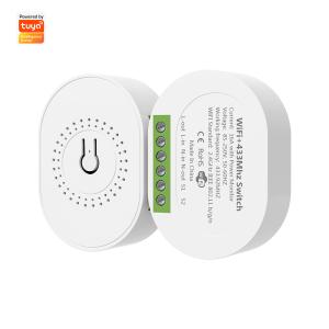 Wholesale SMATRUL 16A Smart Power Monitor Breaker Tuya WiFi &amp; RF433 Wireless Switch Mini 2-Way ModuleTimer Work with Google Home &amp; Alexa from china suppliers
