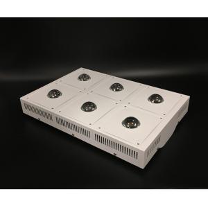CREE CXA2530 CXB3590 Led Grow Lights , Full Spectrum Sun Spectrum Hydroponic