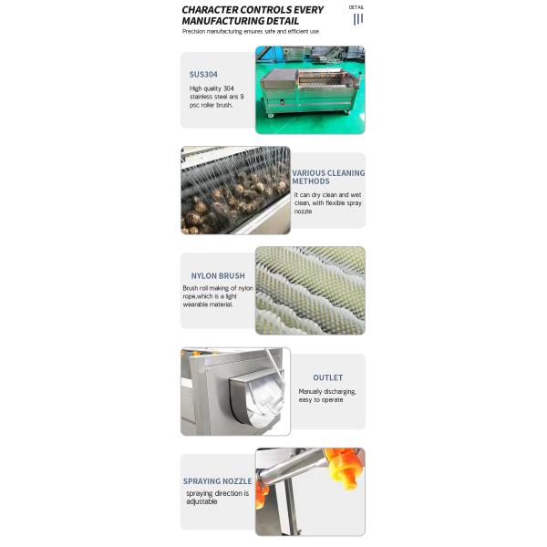 Automatic Industrial Root Vegetable Cleaning and Washing Machine with Easy Operate
