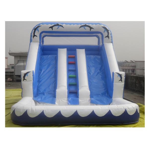 Three lines Inflatable Water Slide With Pool For Kids / Adults Inflatable Slide Park