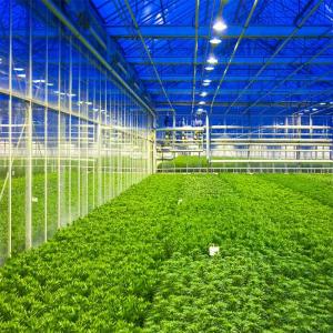 Integrated Al6005 BIPV Solar Panel Mounting Structure