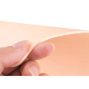 Silicone Blank Permanent Makeup Practice Skin 19.2 * 14.3 cm
