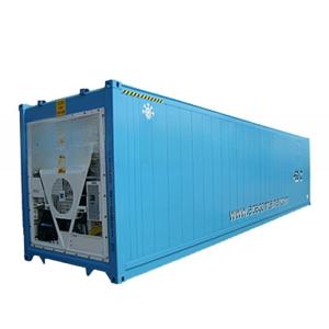 40ft Reefer Deep Blast Feezer Containers Polyurethane Insulated Thermo King