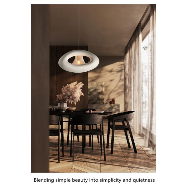 Nordic Minimalist Restaurant Pendant Light Creative Wabi-Sabi Bedroom Loft Lamp(WH-VP-179)