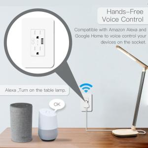 Wifi Electrical Outlet Works With Alexa & Google Assistant