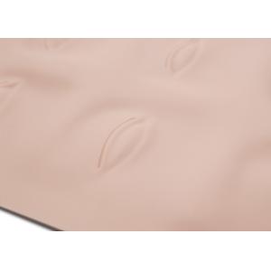 3D Silicone Permanent Makeup Practice Skin Individual Package